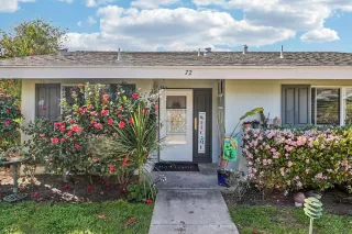 Photo #1: 260005976 Listing 