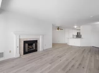 Photo #1: 260005995 Listing 