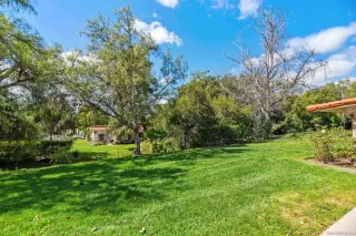 Photo #1: 260006029 Listing 