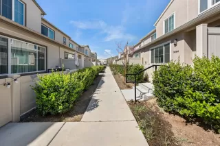 Photo #1: 260006075 Listing