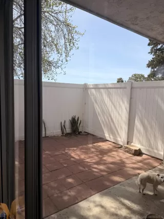 Photo #5: 260006263 Listing 