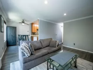 Photo #1: 260006292 Listing 