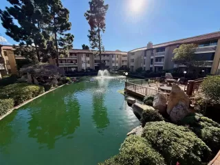 Photo #5: 260006331 Listing 