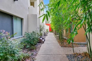 Photo #6: 260006454 Listing 