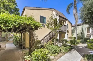 Photo #1: 260006482 Listing 