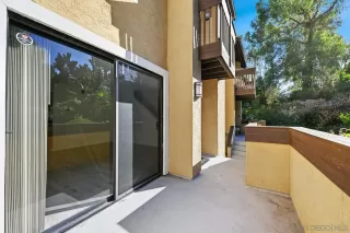 Photo #5: 260006513 Listing 