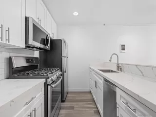 Photo #1: 260006578 Listing