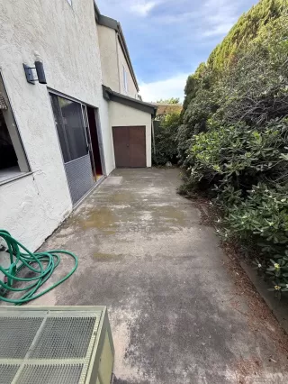 Photo #1: 260006610 Listing 