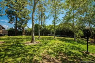 Photo #1: 260006611 Listing