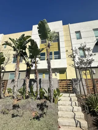 Photo #1: 260006640 Listing 