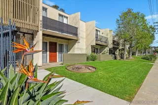 Photo #1: 260006725 Listing