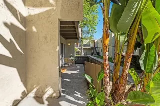 Photo #4: 260006725 Listing