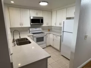 Photo #2: 260006742 Listing 