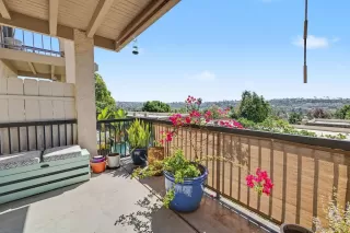 Photo #3: 260006771 Listing 