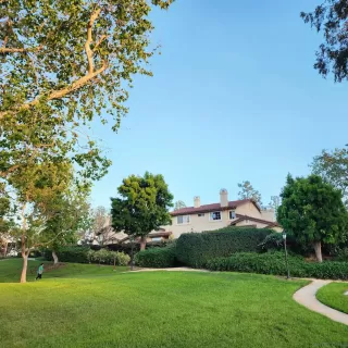 Photo #1: 260006798 Listing 