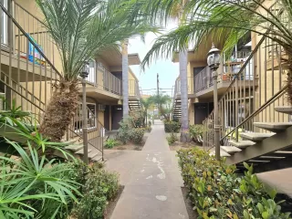 Primary Photo for MLS#: 260006892