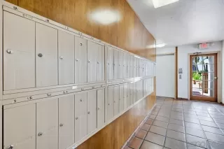 Photo #3: 260006903 Listing 