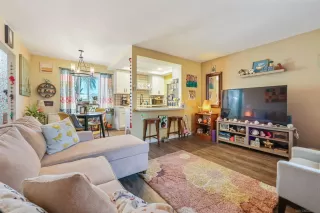 Photo #1: 260007105 Listing 