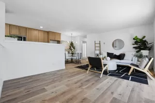 Photo #1: 260007167 Listing 