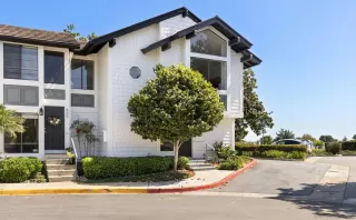 Photo #1: 260007237 Listing 