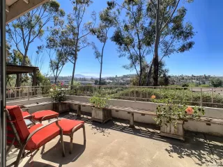 Photo #1: 260007242 Listing 