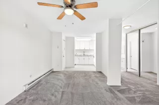 Photo #1: 260007264 Listing 