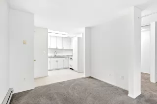 Photo #2: 260007264 Listing 