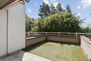 Photo #1: 260007278 Listing 