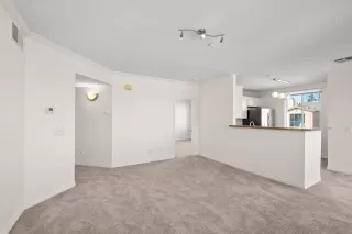 Photo #1: 260007284 Listing 