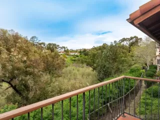 Photo #5: 260007285 Listing 