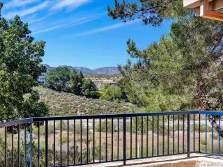 Photo #2: 260007291 Listing 