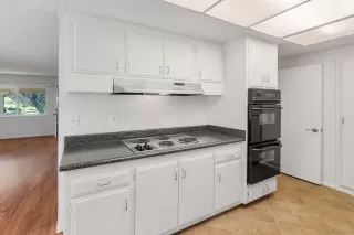 Photo #6: 260007322 Listing 