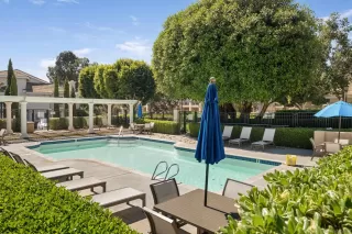 Photo #2: 260007324 Listing