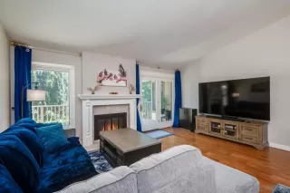 Photo #3: 260007350 Listing