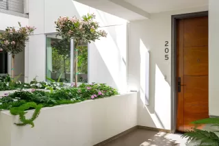 Photo #2: 260007452 Listing 