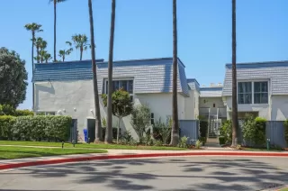 Photo #2: 260007464 Listing