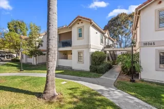 Photo #1: 260007476 Listing 