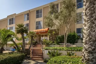 Photo #2: 260007484 Listing 