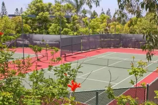 Photo #2: 260007503 Listing