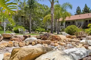 Photo #3: 260007503 Listing