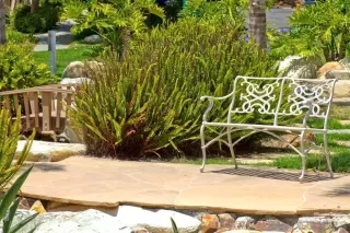 Photo #4: 260007503 Listing