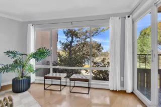 Photo #1: 260007556 Listing