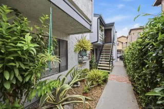 Photo #3: 260007584 Listing 