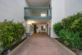 Photo #2: 260007654 Listing 