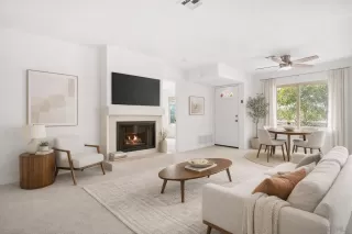 Photo #1: 260007655 Listing 