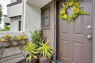 Photo #1: 260007751 Listing 