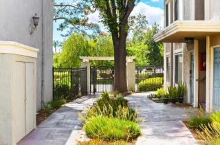 Photo #2: 260007787 Listing 