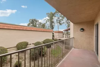 Photo #5: 260007809 Listing 