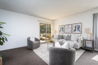 Photo #3: 260007835 Listing 