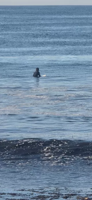 Photo #3: 260007862 Listing 